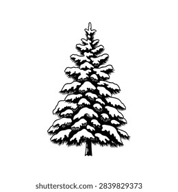 A detailed illustration of a pine tree covered in snow, showcasing winters beauty and the serenity of a snowy landscape.