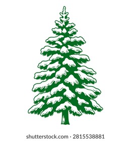 Detailed illustration of a pine tree with snow on its branches, showcasing winter scenery and evergreen foliage in a natural setting.