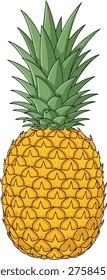 Detailed illustration of a pineapple, showcasing its textured skin and spiky green crown, perfect for tropical themes.