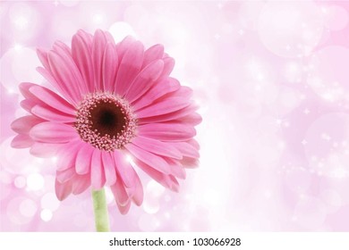 Detailed illustration of a pink Gerbera daisy