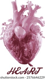 Detailed illustration of a realistic human heart, symbolizing life, health, and medical awareness.