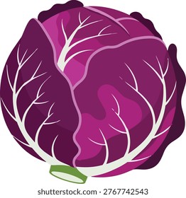 A detailed illustration of a red cabbage head, showcasing its vibrant purple leaves with intricate white veins and a fresh green stem, perfect for culinary or agricultural themes.