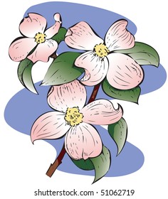 Detailed illustration of a Red Flowering Dogwood.. Hand-drawn style. CMYK color svg