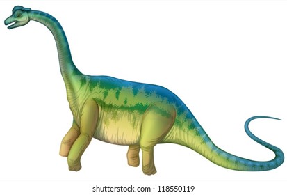 Detailed Illustration Of A Sauropod