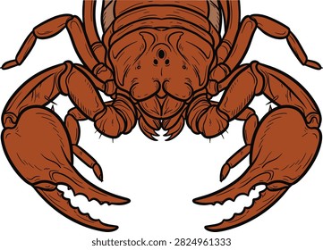 Detailed illustration of a scorpion from a front view showcasing its prominent claws and segmented body