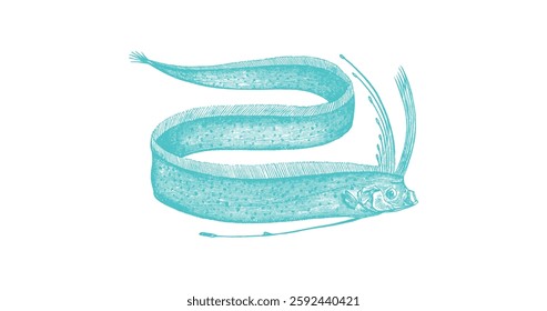 Detailed Illustration of a Sea-Giant Orarfish