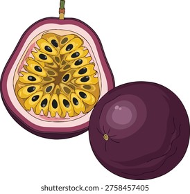 A detailed illustration showcasing a passion fruit cut in half, revealing its juicy interior with seeds, alongside a whole passion fruit, highlighting its vibrant purple skin.