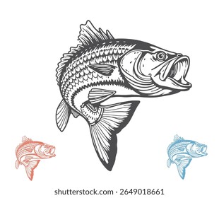A detailed illustration shows a fish jumping with its mouth open, scales visible, and two smaller colored versions.