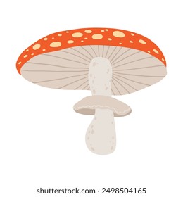 A detailed illustration of a single amanita with a white stem and a red cap covered in white spots. The mushroom is depicted from a side view, showcasing its gills and textured stem.