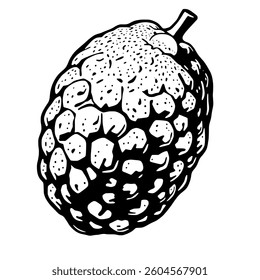 Detailed Illustration Of A Single Cherimoya Fruit