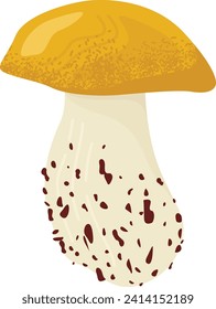 Ilustración detallada de hongos porcini únicos, hongos comestibles realistas, naturaleza. Micología, ingrediente de cocina gourmet, ilustración vectorial de recolección de hongos.