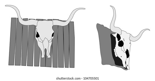 Detailed illustration of steer skull
