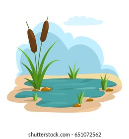 Detailed illustration of summer pond and grass