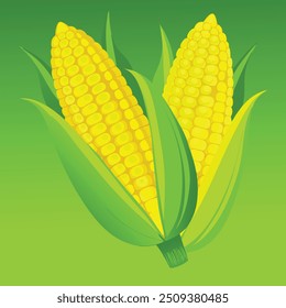 A detailed illustration of a sweet corn ear rendered in a woodcut print or vintage etching style. The design features intricate linework and shading that highlight the texture.