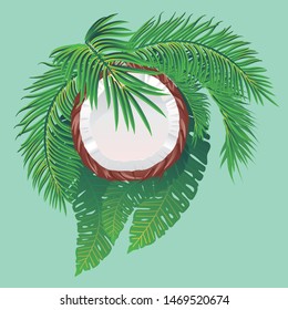 Detailed illustration of tasty coconut half with palm leaves background.