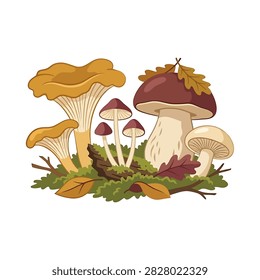 A detailed illustration of various wild forest mushrooms including chanterelles and porcini growing on a patch of moss with fallen autumn leaves and twigs.