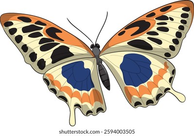 Detailed illustration of a vibrant butterfly design