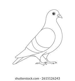 Detailed Illustration of a White Pigeon With Subtle Feather Patterns