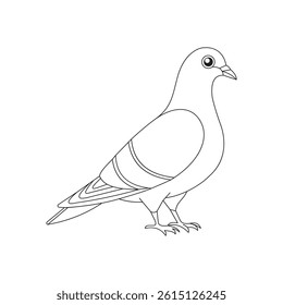 Detailed Illustration of a White Pigeon With Subtle Feather Patterns