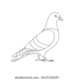 Detailed Illustration of a White Pigeon With Subtle Feather Patterns