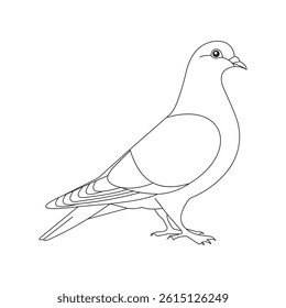 Detailed Illustration of a White Pigeon With Subtle Feather Patterns