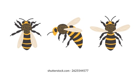 Detailed illustrations of bees in various poses showcasing their unique features and colors