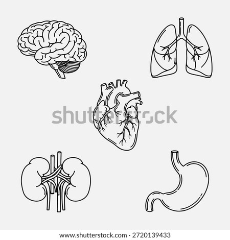 Detailed illustrations of human organs including brain, lungs, heart, kidneys, and stomach.