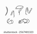 Detailed illustrations of various insect limb types showcasing their unique structures