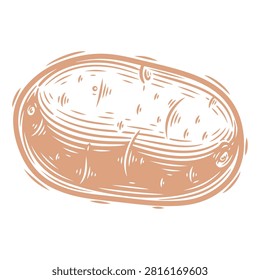 Detailed image of a brown bean capsule, highlighting its smooth surface and oval shape, isolated on a white background.