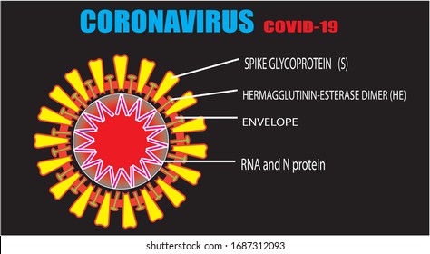 Detailed image of corona covid virus - 19, 2019-nCoV Novel Coronavirus Bacteria. No Infection and Stop Coronavirus Concepts. Dangerous Coronavirus Cell in China, Wuhan. Isolated Vector Icon