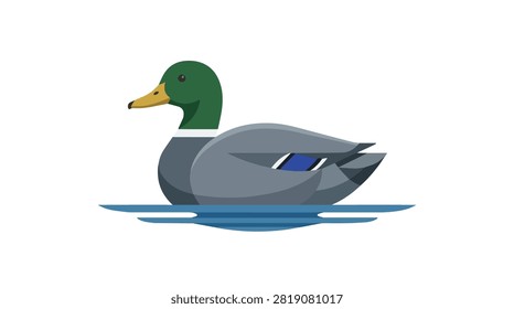 Detailed image of a peaceful mallard duck in water with vibrant green head and grey body surrounded by water reflections and natural outdoor ambiance
