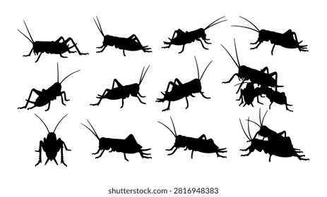 A detailed image showcasing multiple ants in various positions and angles, highlighting their anatomy and movement.