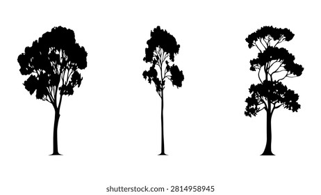 A detailed image showcasing three different tree silhouettes with unique foliage and branch structures, emphasizing natural diversity.