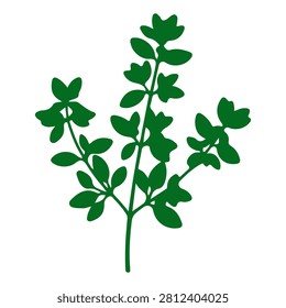 Detailed image of a vibrant green herb plant with multiple leafy stems, showcasing fresh foliage suitable for culinary or medicinal use.