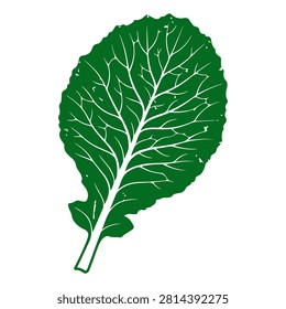 Detailed image of a vibrant green leaf showcasing intricate veins and natural texture, isolated on a white background.