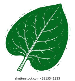 Detailed image of a vibrant green leaf showcasing prominent veins and natural texture, isolated on a white background.