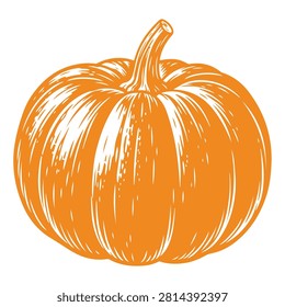 Detailed image of a vibrant orange pumpkin showcasing its stem and ribbed surface, ideal for autumn and harvest themes.