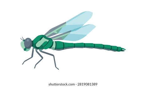 Detailed image of a vivid green dragonfly with transparent wings resting on a leaf in bright natural light, showcasing nature and insect beauty