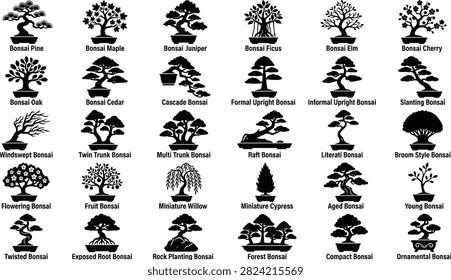 Detailed infographic of different bonsai styles like cascade formal upright and literati, miniature tree silhouette artwork