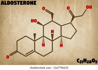 Detailed infographic illustration of the molecule of Aldosterone.