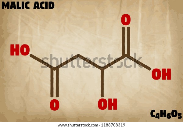 Detailed Infographic Illustration Molecule Malic Acid Stock Vector Royalty Free 1188708319 6832