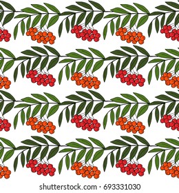 Detailed ink drawing of rowan or rowanberry. Berries and rowan berries with leaves, hand drawn in rustic design, classic drawing element of wild ash, pit or rowan-tree. Seamless pattern.