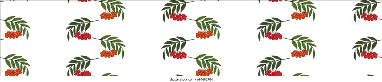 Detailed ink drawing of rowan or rowanberry. Berries and rowan berries with leaves, hand drawn in rustic design, classic drawing element of wild ash, pit or rowan-tree. Seamless pattern.