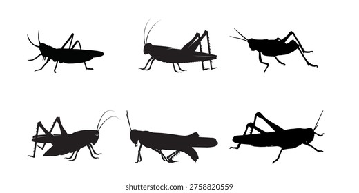 Detailed insect silhouette set including grasshoppers and crickets in various poses, ideal for agriculture, biology, pest control and nature-themed designs.