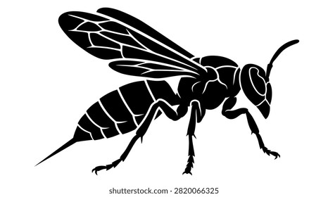 Detailed insect vector graphic for nature and pest design.
