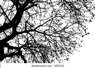 detailed ,intricate tree branches
