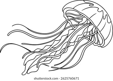 Detailed Jellyfish Line Art Illustration Of Marine Wildlife For Creative Projects