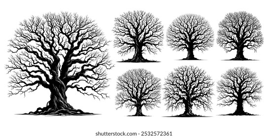 detailed leafless dead trees on white background (eps). silhouette scary old crooked tree for horror and spooky concept. vector illustration. 