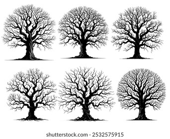 detailed leafless dead trees on white background (eps). silhouette scary old crooked tree for horror and spooky concept. vector illustration. 