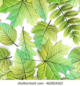 Detailed leaves seamless background. EPS 10 vector file included